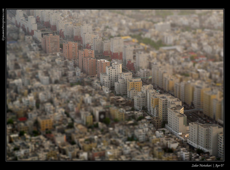 DP Blog